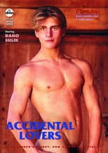Poster for Accidental Lovers