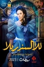 Poster for Lady Cinderella