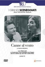Poster for Canne al Vento