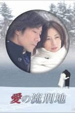 Poster for 愛の流刑地