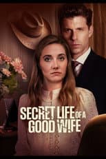 Poster for Secret Life of a Good Wife
