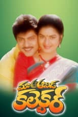 Poster for Maa Aavida Collector