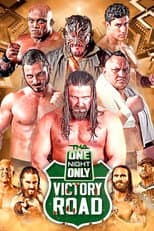 Poster for TNA One Night Only: Victory Road 2014