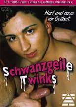 Poster for Schwanzgeile Twinks