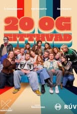 Poster for 20 og Eitthvað