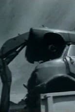 Poster for Procar