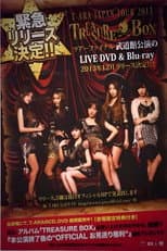 Poster for T-ARA Japan Tour 2013 - Treasure Box- 2nd TOUR FINAL In Budokan