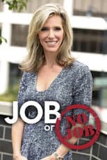 Poster for Job or No Job