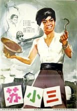 Poster for 苏小三