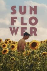 Poster for Sunflower