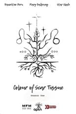 Poster for Colour of Scar Tissue