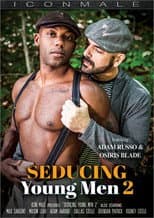 Poster for Seducing Young Men 2