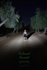 Poster for Nocturnal Carousel