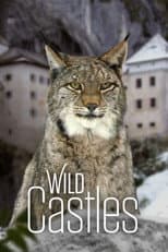 Poster for Wild Castles
