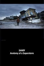 Poster for Sandy: Anatomy of a Superstorm