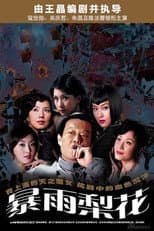 Poster for 暴雨梨花