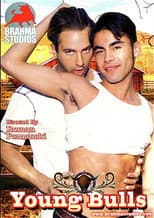 Poster for Young Bulls