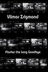 Poster for Vilmos Zsigmond Flashes 'The Long Goodbye'