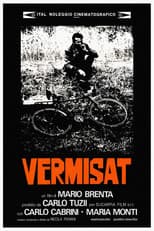 Poster for Vermisat