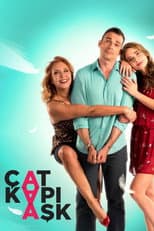 Poster for Çat Kapı Aşk