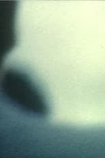 Poster for Feeling of Night