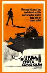 Poster for Three Bullets... for a Long Gun