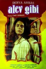 Poster for Alev Gibi
