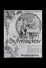 Poster for The Bushwackers