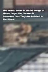 Poster for The More I Zoom in on the Image of These Dogs, The Clearer it Becomes That They Are Related to the Stars.