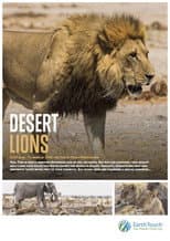 Poster for Desert Lions