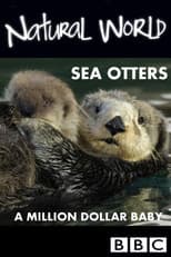Poster for Sea Otters: A Million Dollar Baby