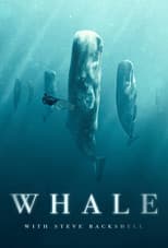 Poster for Whale with Steve Backshall