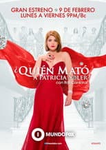 Poster for ¿Quién mató a Patricia Soler?
