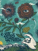 Poster for Billy Strings | 2022.09.24 — Renewal Festival - Buena Vista, CO