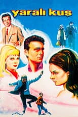 Poster for Yaralı Kuş
