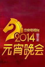 Poster for 2014年中央电视台元宵晚会
