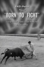 Poster for Born to Fight