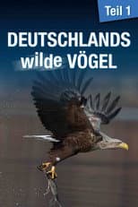Poster for Deutschlands wilde Vögel