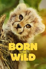 Poster for Born to Be Wild