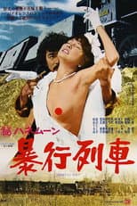 Poster for Secret Honeymoon: Assault Train