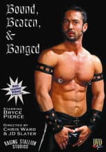 Poster for Bound, Beaten & Banged