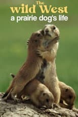 Poster for A Prairie Dog's Life