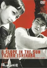 Poster for A Slope in the Sun