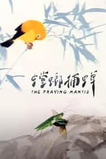 Poster for The Praying Mantis