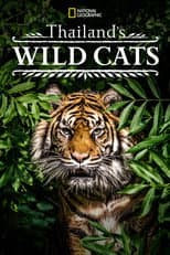 Poster for Thailand's Wild Cats