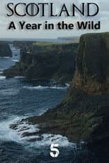 Poster for Scotland: A Year In The Wild