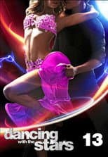 Poster for Season 13