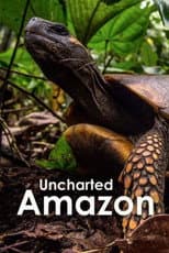 Poster for Uncharted Amazon