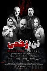 Poster for Wounded bodies
