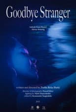 Poster for Goodbye Stranger